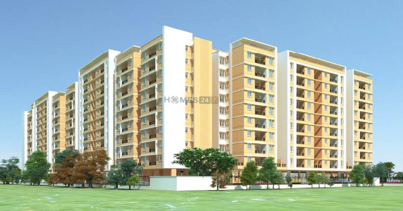 Okay Plus Anandam-cover-06